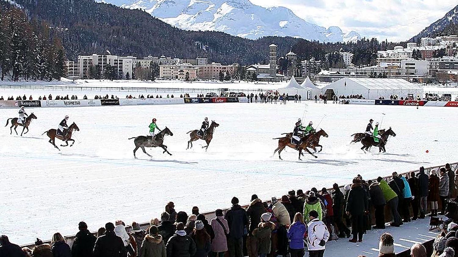 A day at the polo