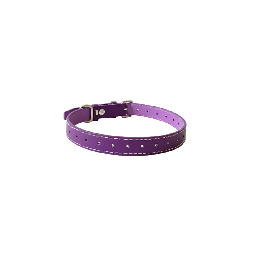 Palm Beach Purple