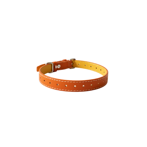 Amalfi Orange