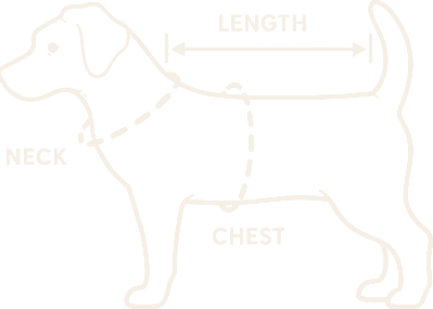 How to measure your dog: length, neck and chest
